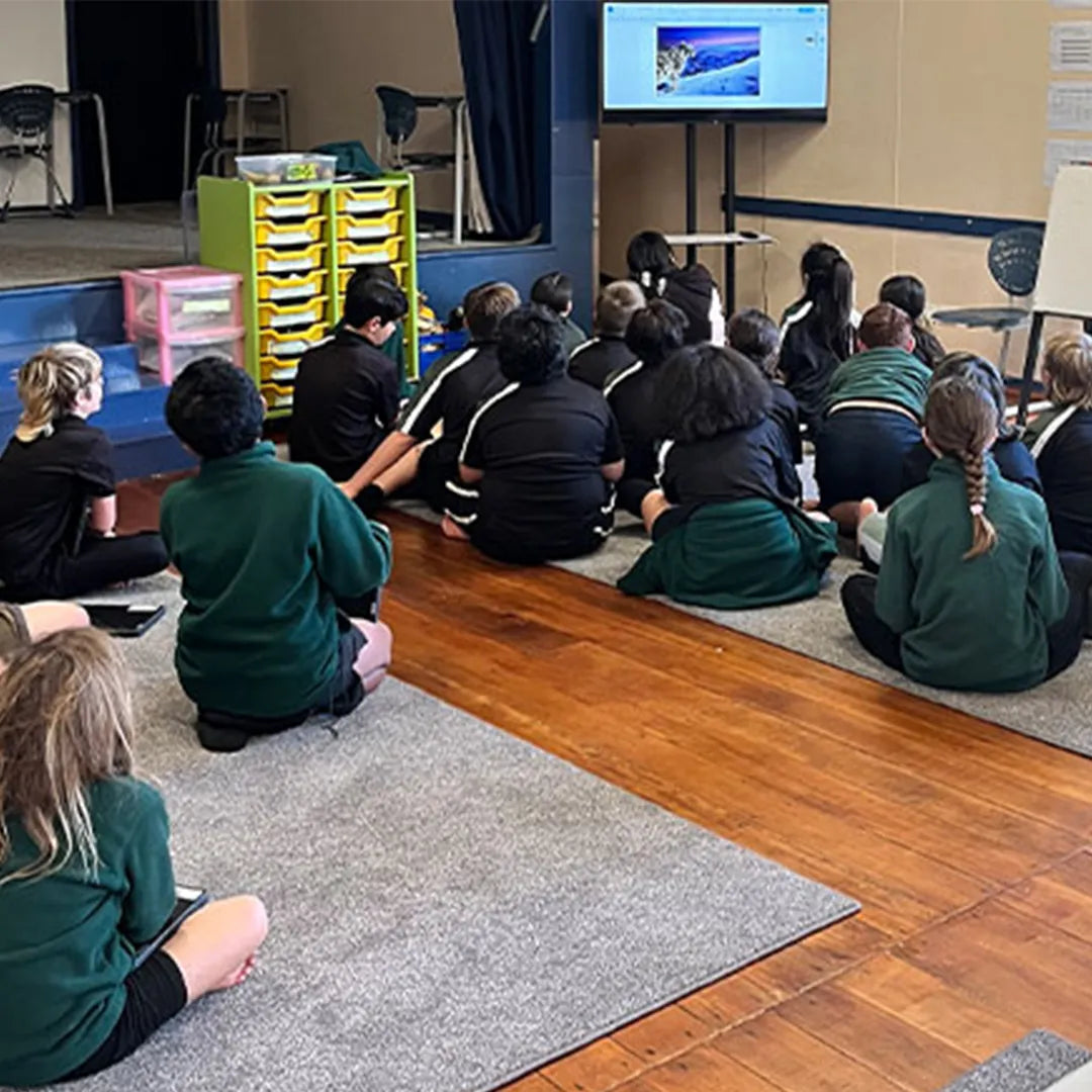 Levin School-The Interiors Group