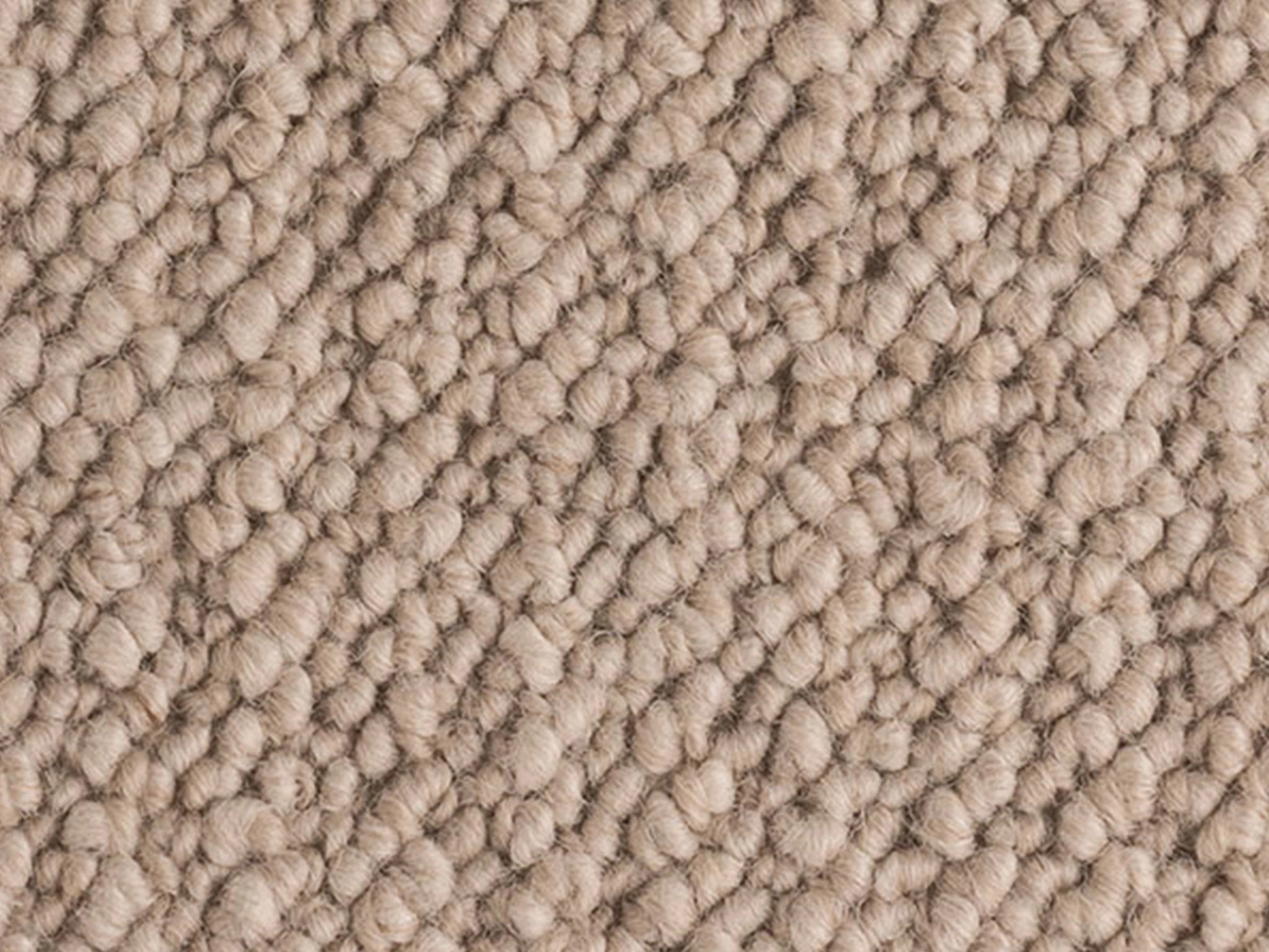 Aoraki-Carpet Court
