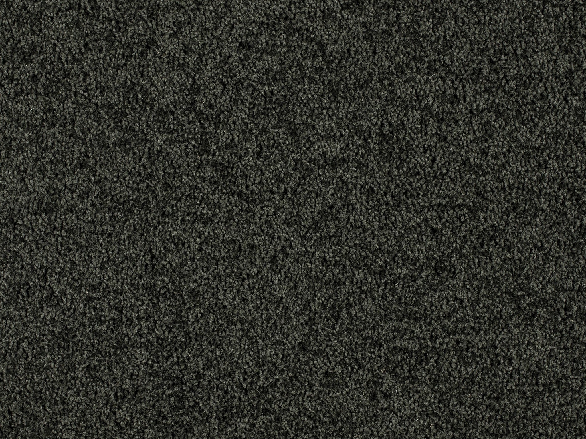 Enchant-Carpet Court