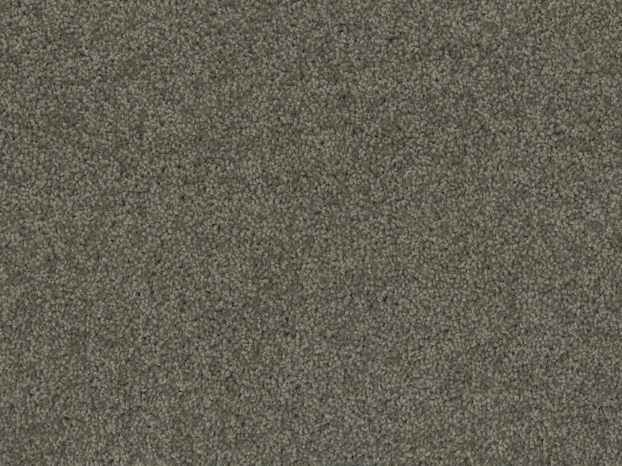 Enchant-Carpet Court