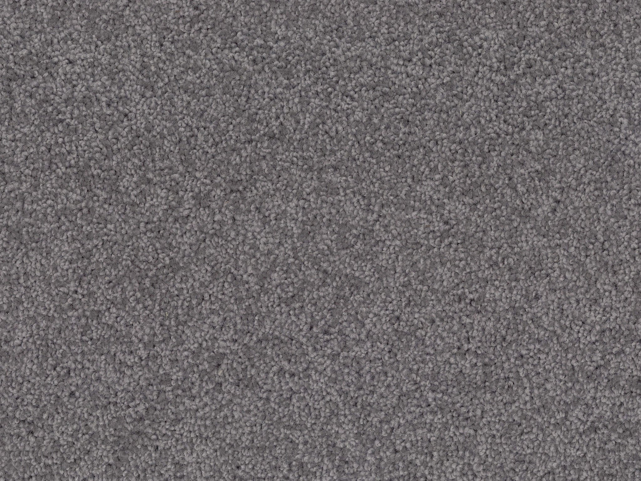 Enchant-Carpet Court