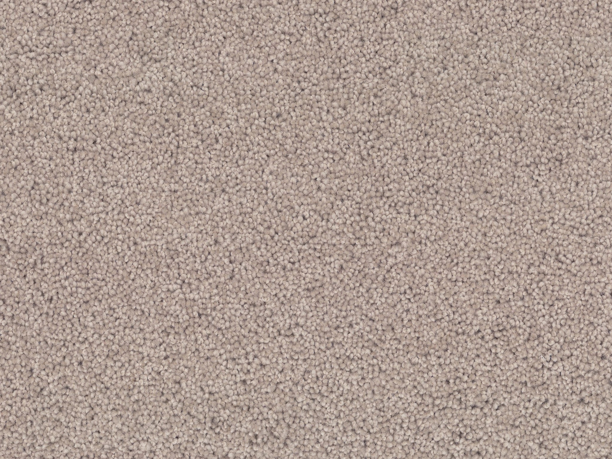 Enchant-Carpet Court