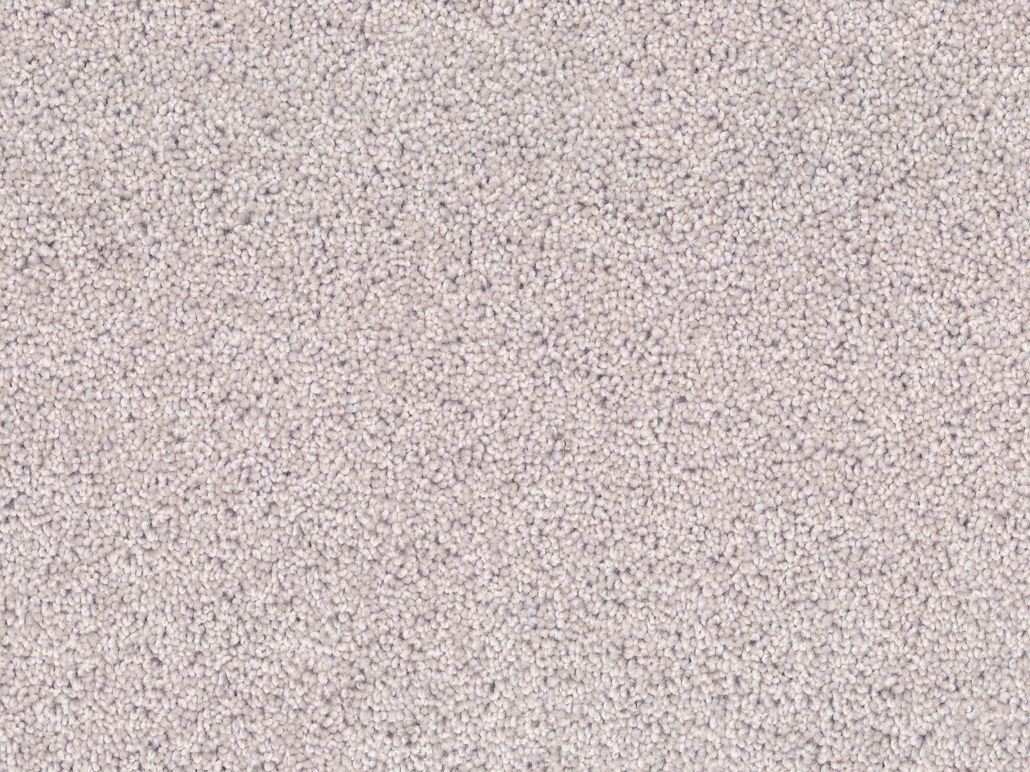 Enchant-Carpet Court