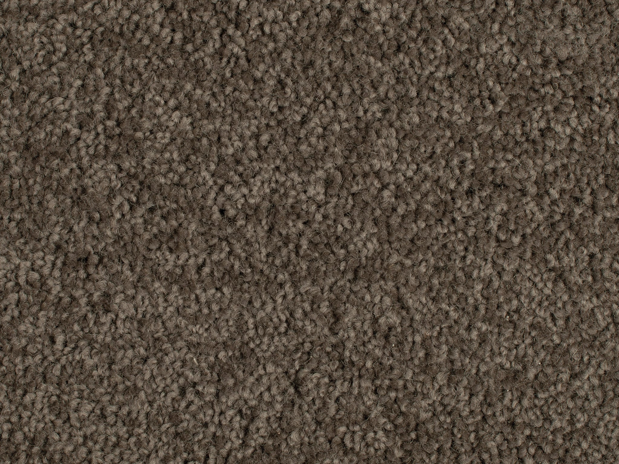 Enchant-Carpet Court