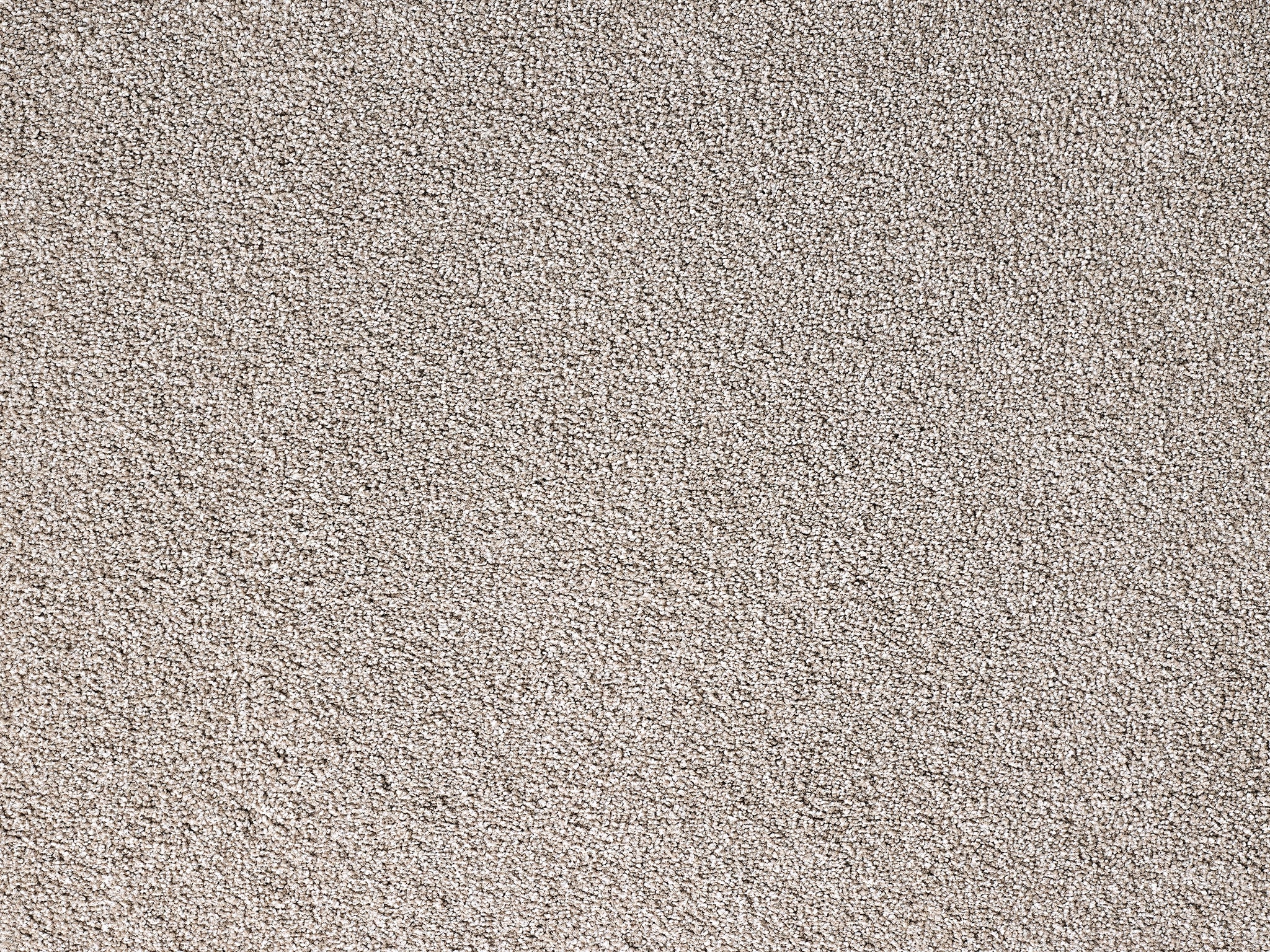 Hudson-Carpet Court