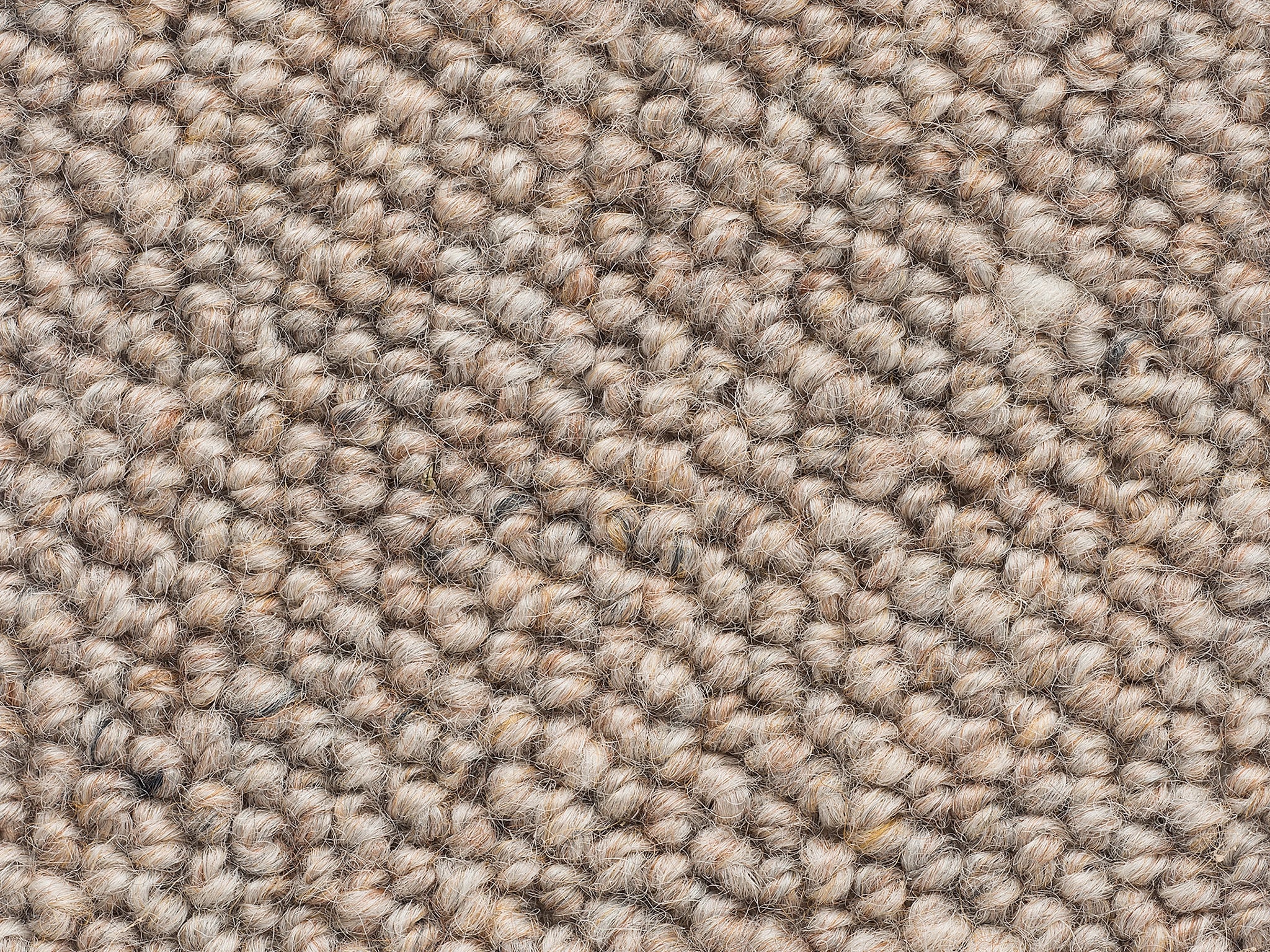 Levante-Carpet Court