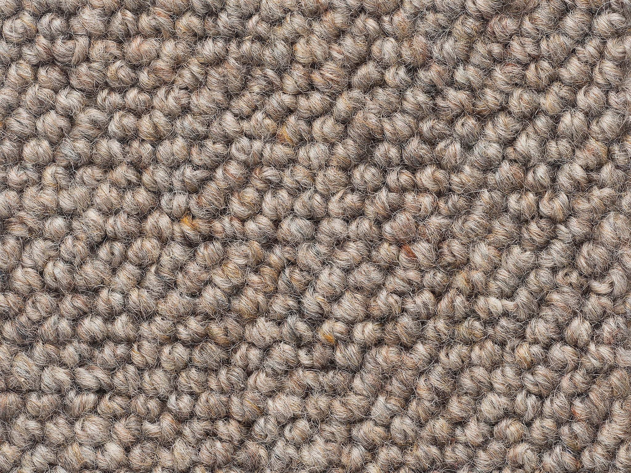 Levante-Carpet Court
