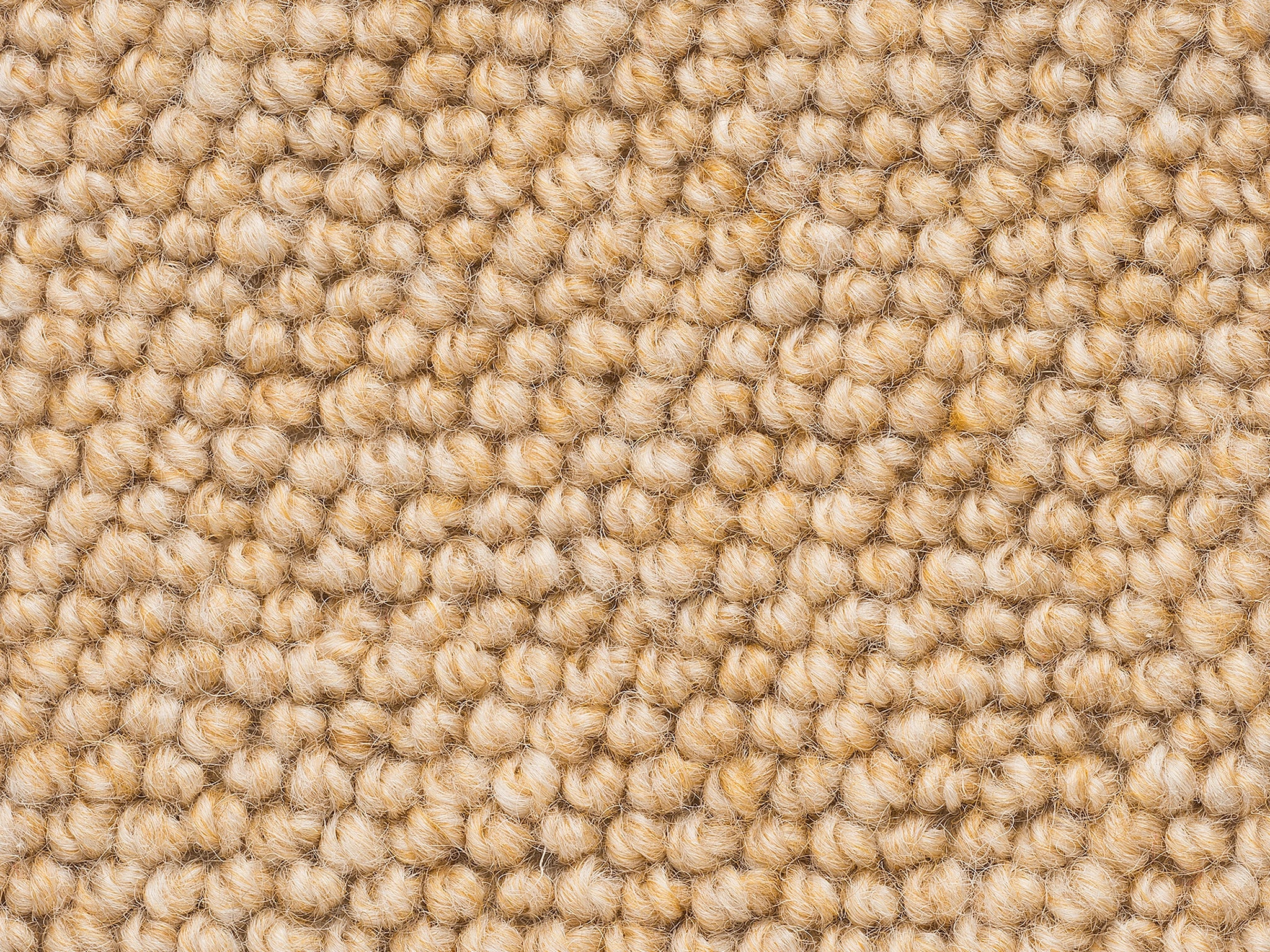 Levante-Carpet Court