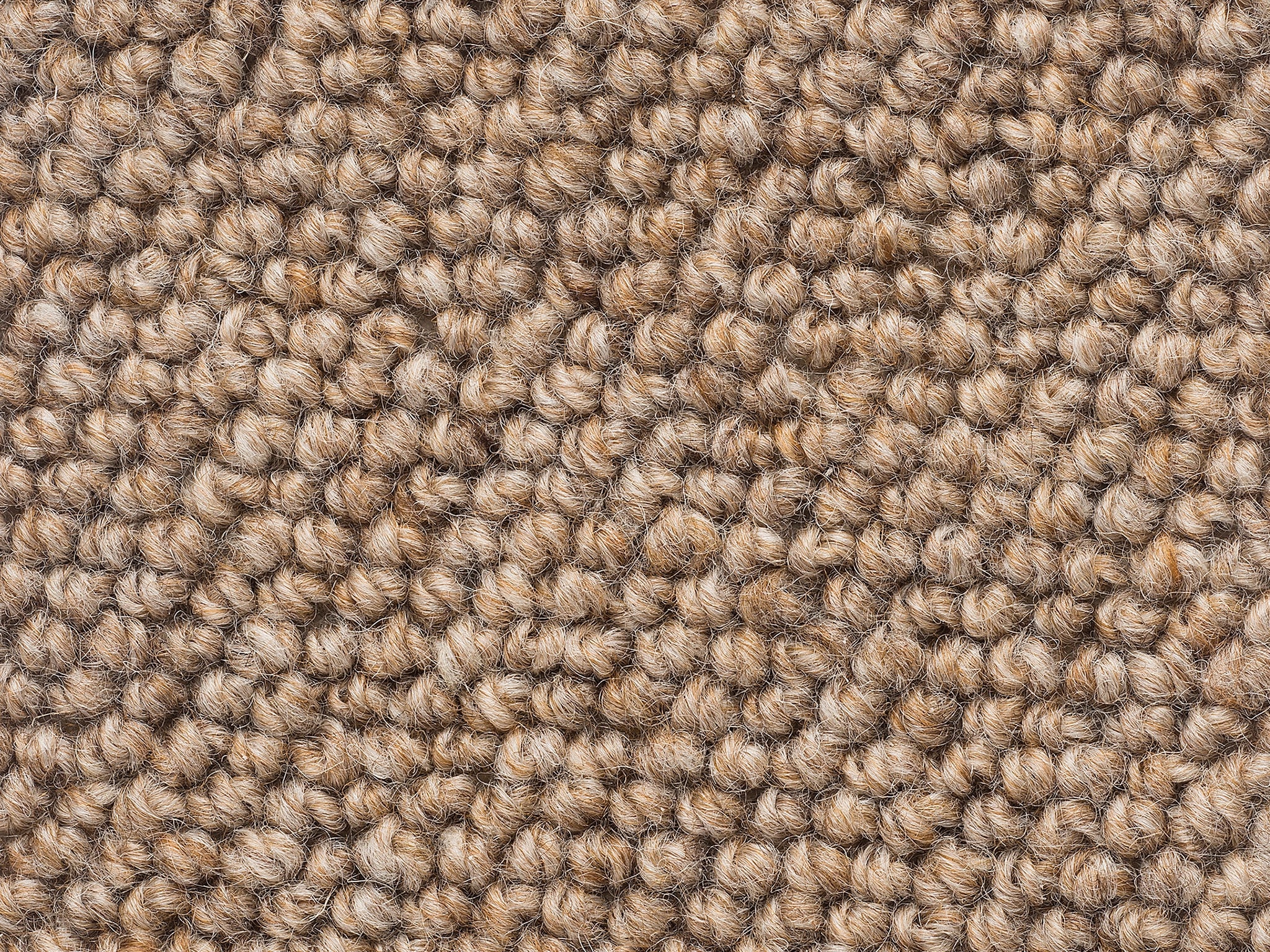 Levante-Carpet Court