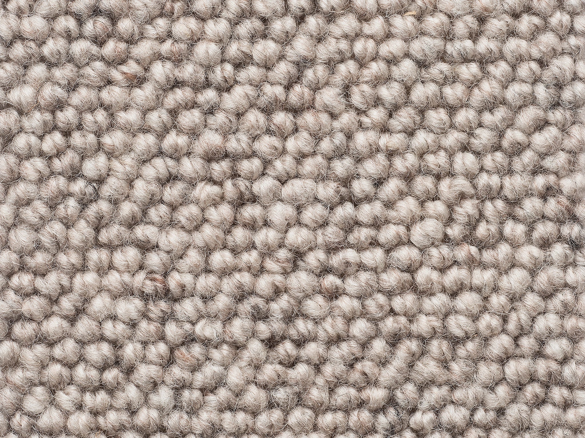 Levante-Carpet Court
