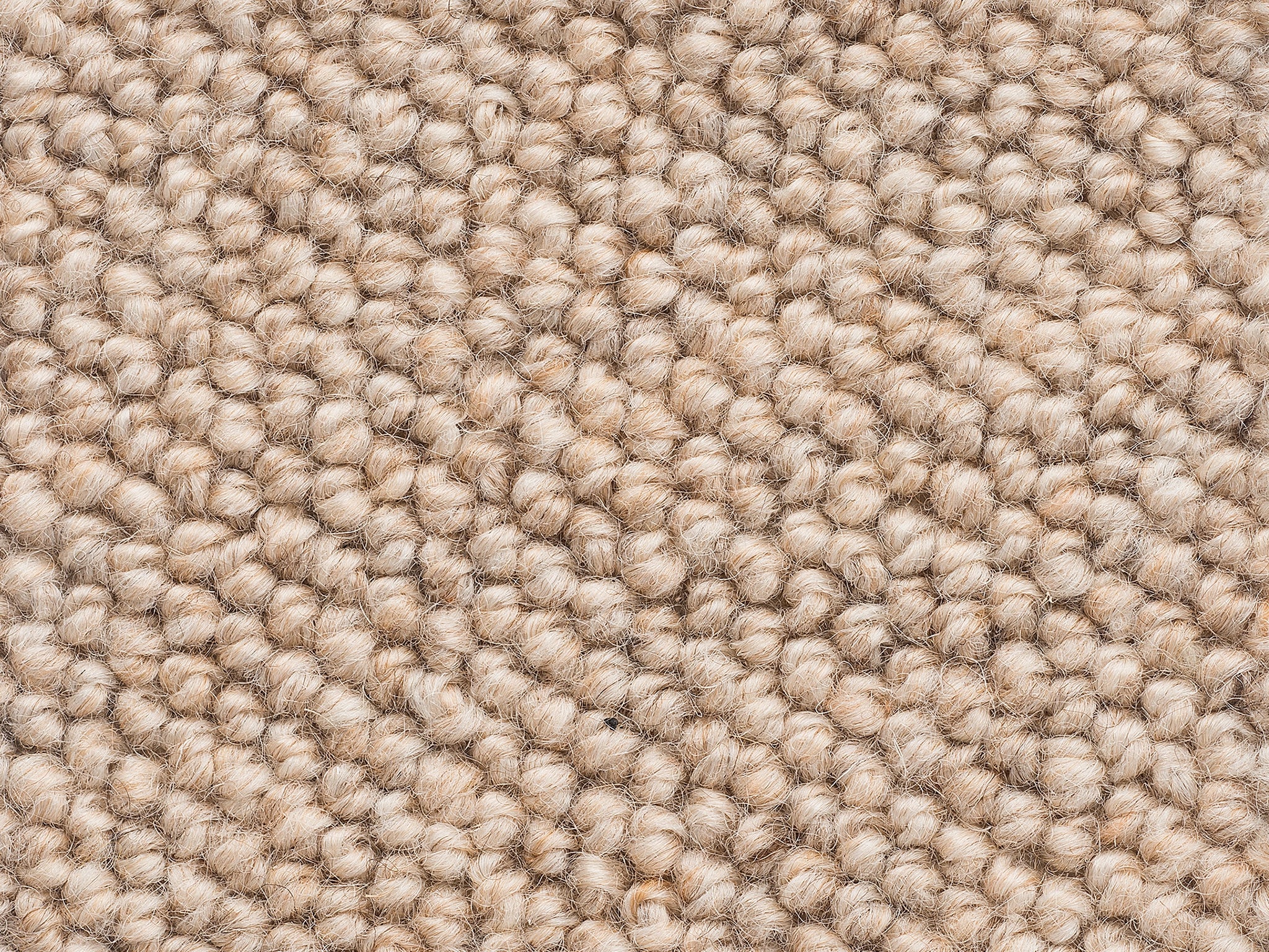 Levante-Carpet Court