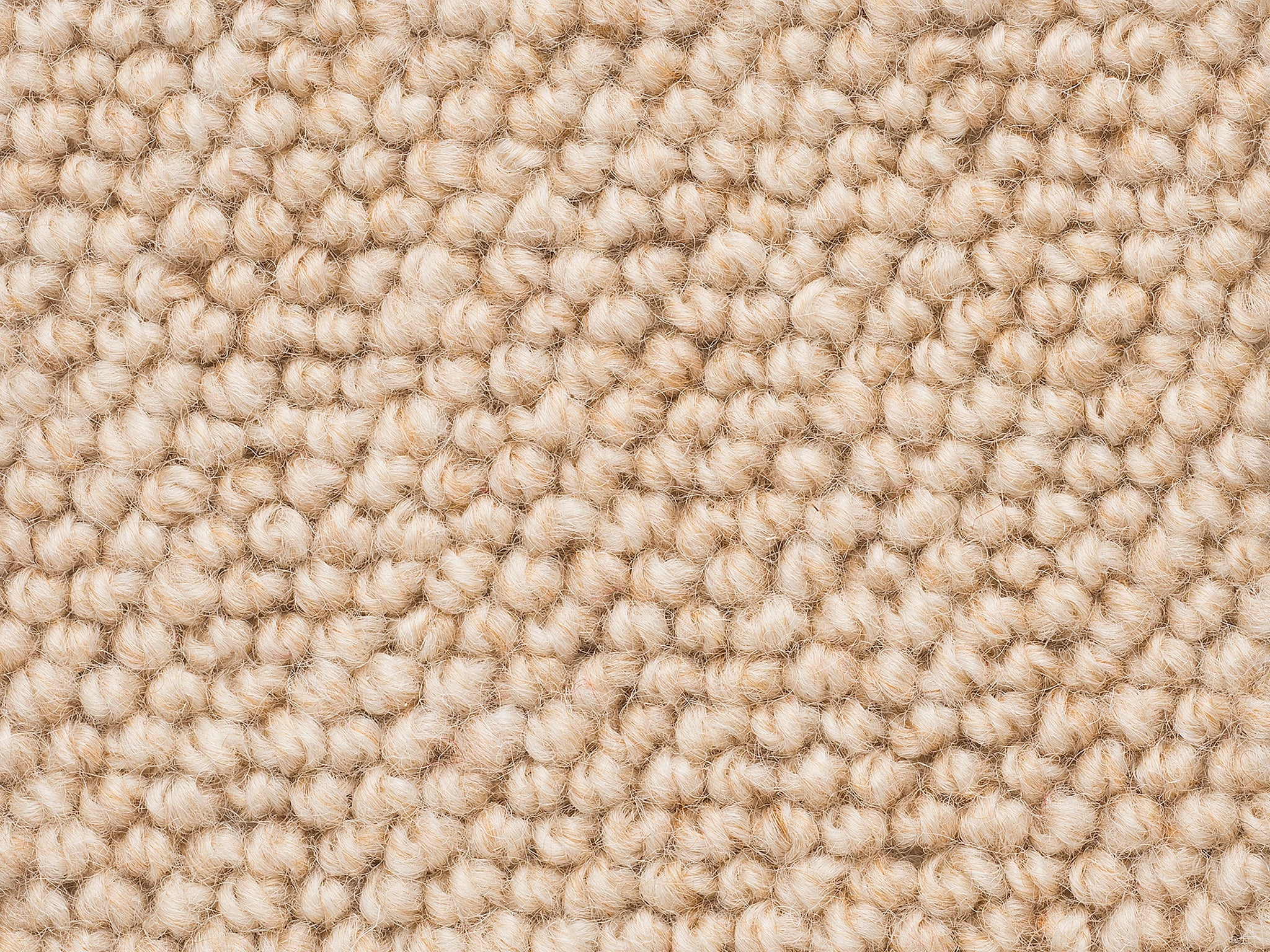 Levante-Carpet Court