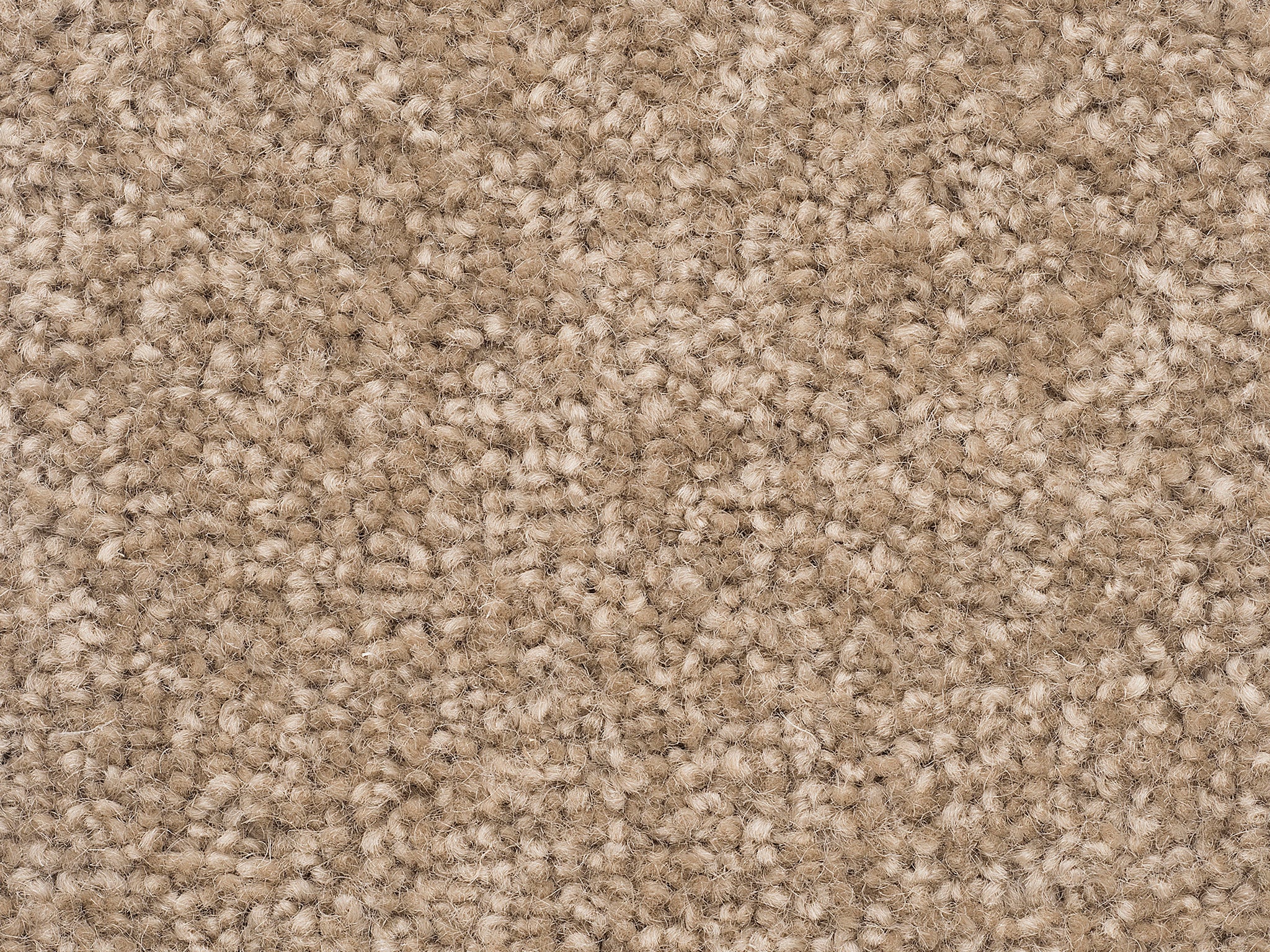 The Hamptons-Carpet Court