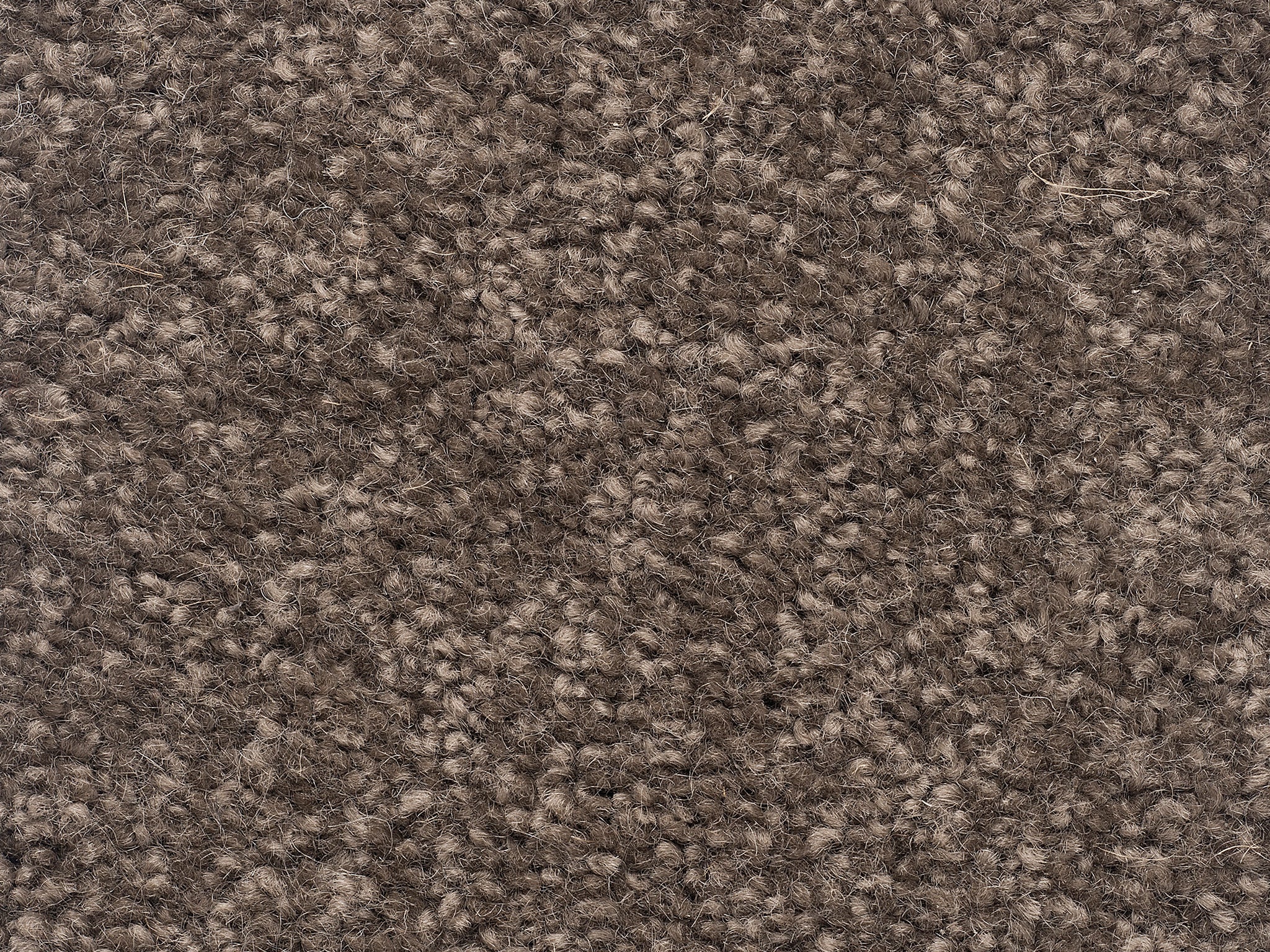 The Hamptons-Carpet Court