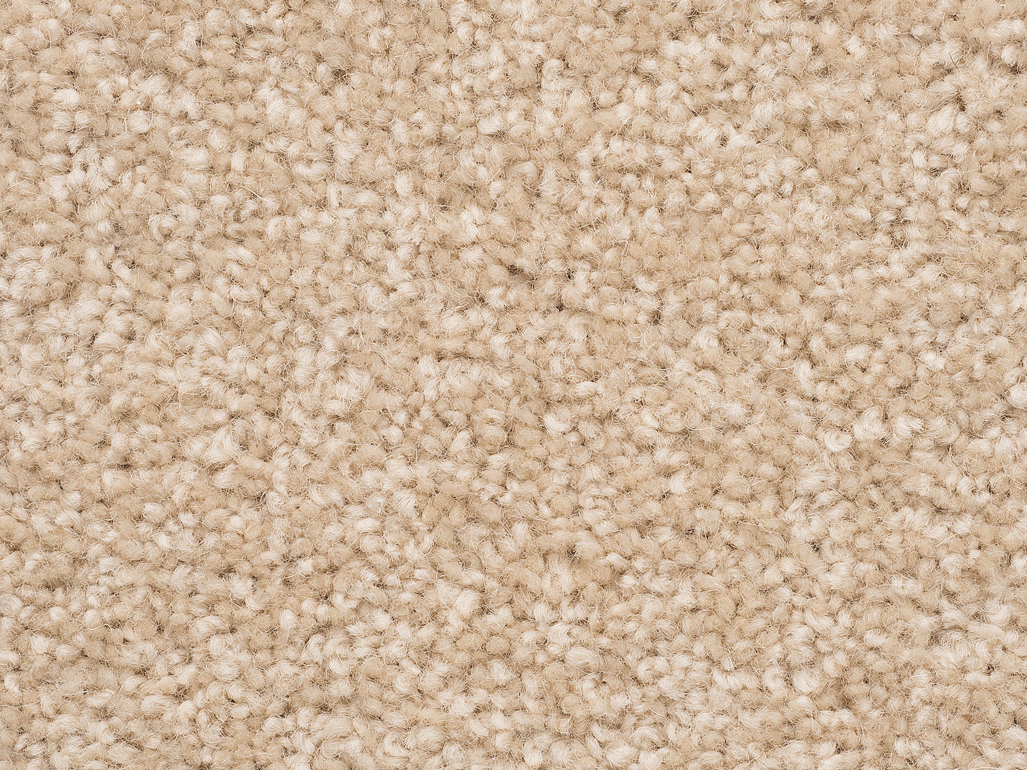 The Hamptons-Carpet Court