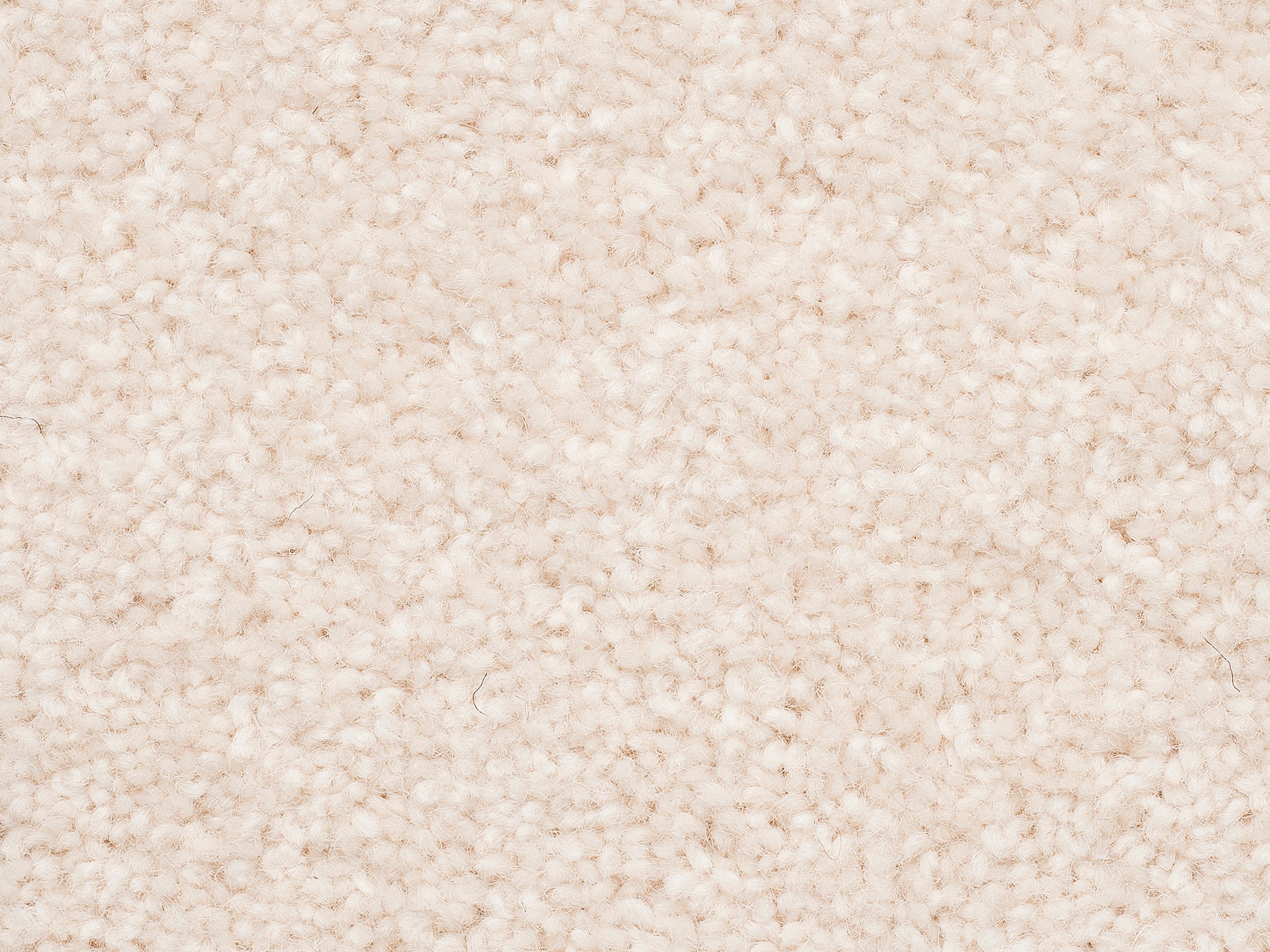 The Hamptons-Carpet Court