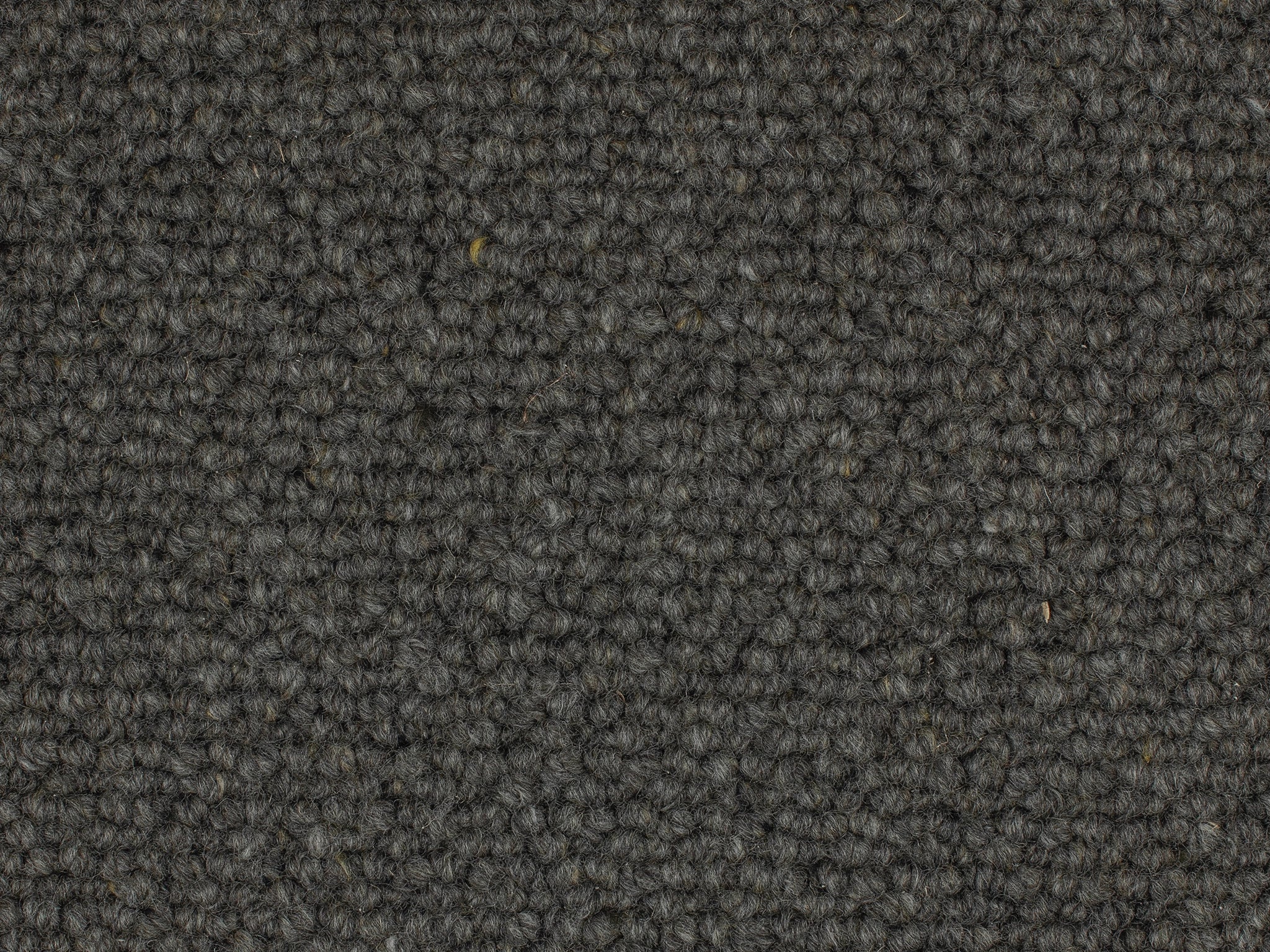 Whenua-Carpet Court