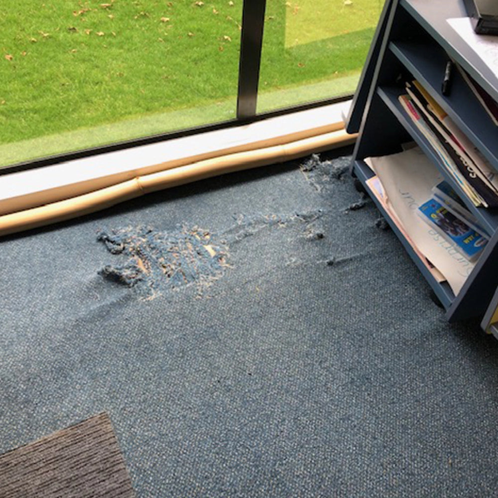 waiotahe-valley-school-before-1080x1080-The Interiors Group