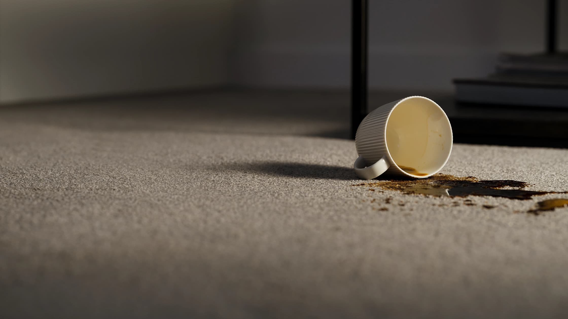 How to Clean Common Carpet Stains | Carpet Cleaning Guide NZ