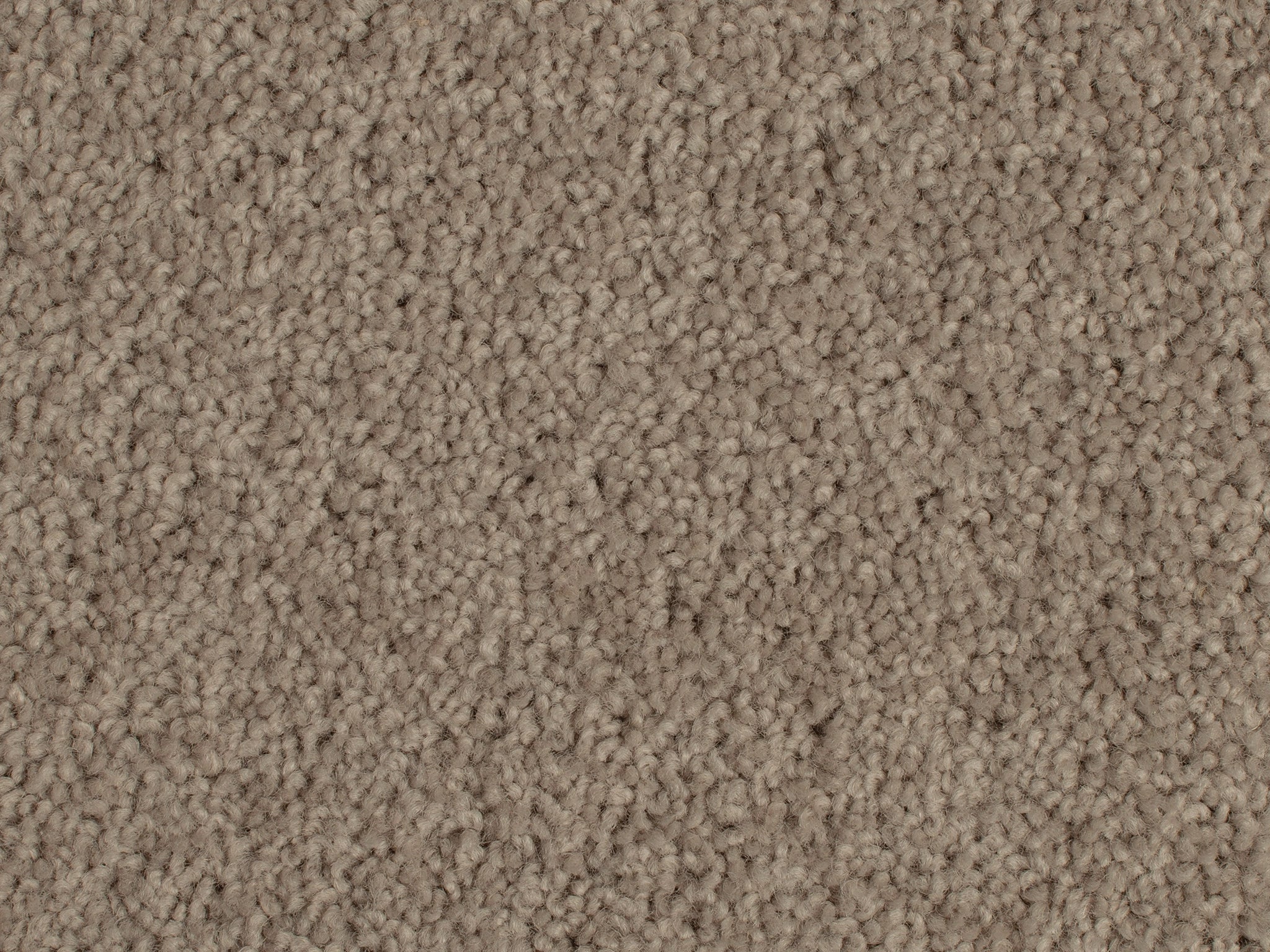 Enchant-Carpet Court