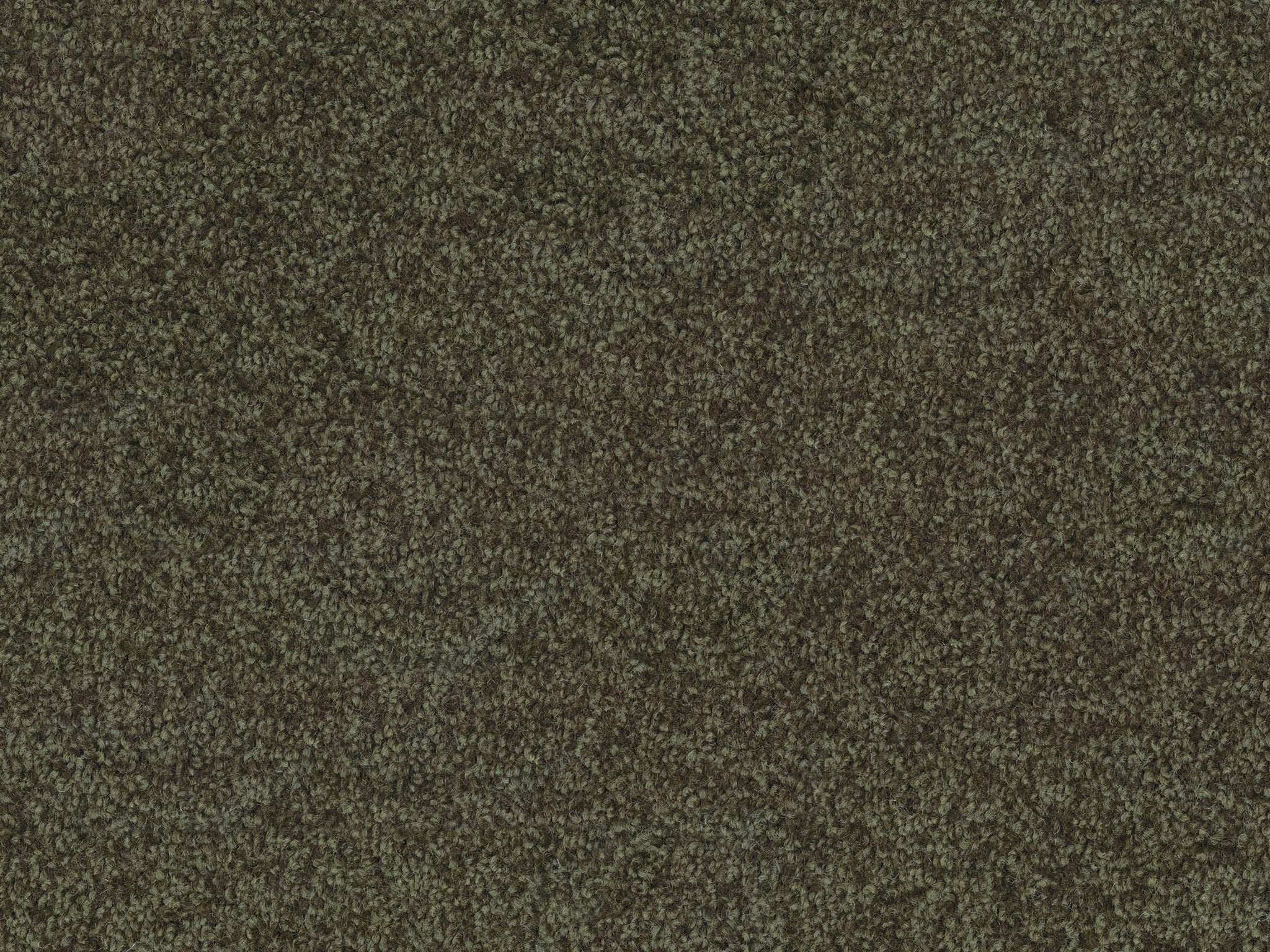 Enchant-Carpet Court