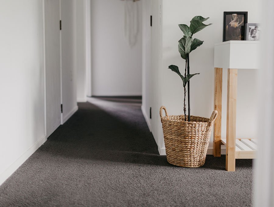 Malmo Munich Carpet in Hallway