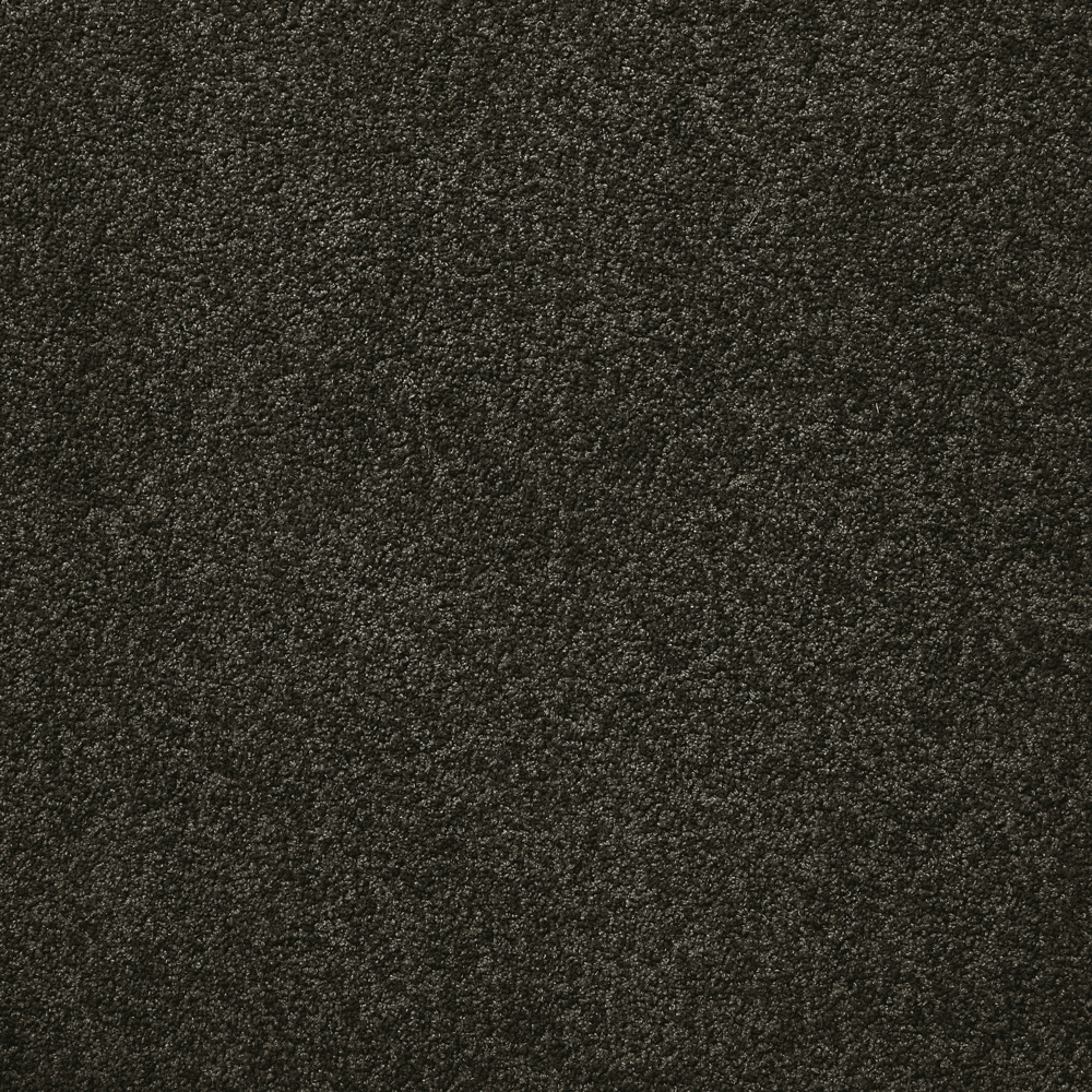 Elementry Apollo Andromeda Carpet - Carpet Court NZ