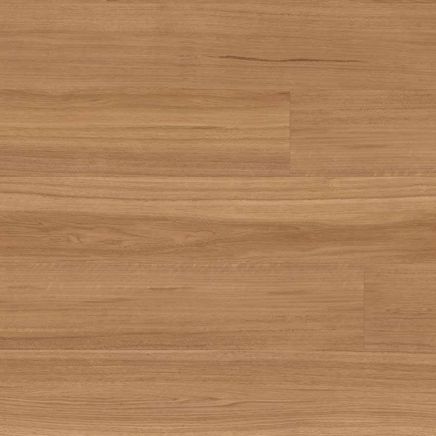 Classic Spotted Gum