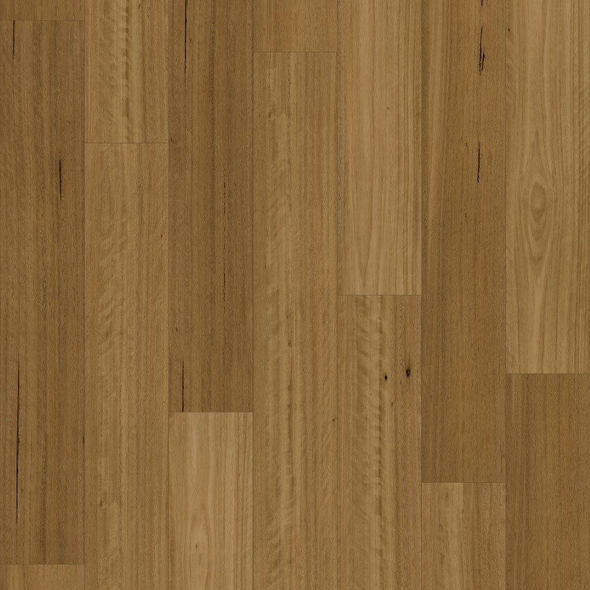 Blackbutt Traditional