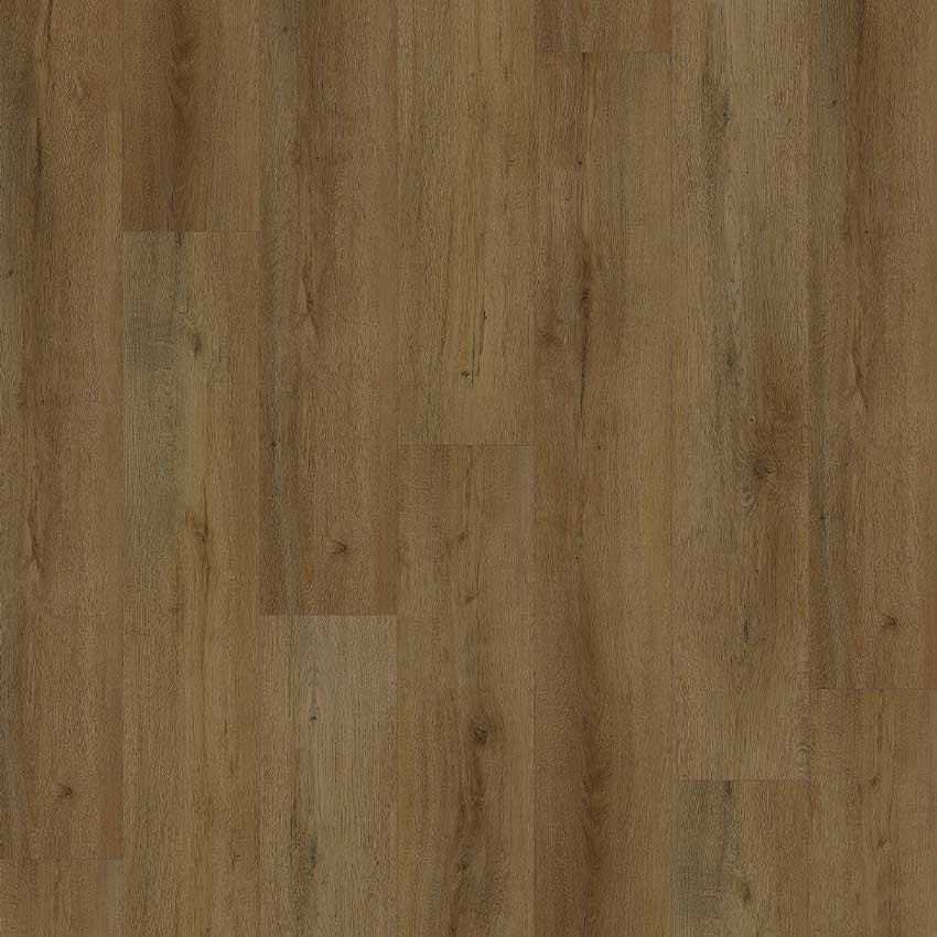 Coffee Oak