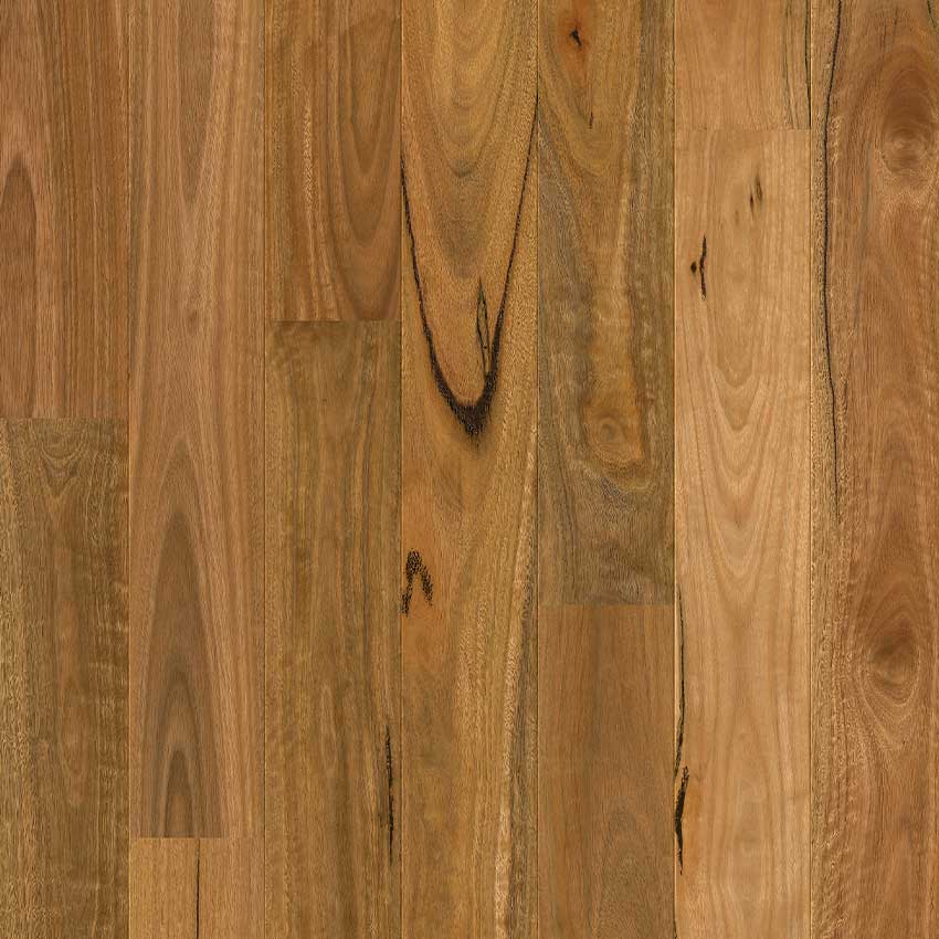 Spotted Gum 1 Strip Matt