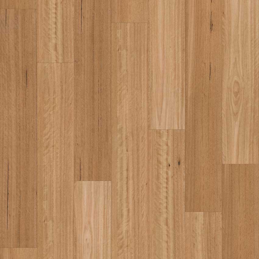 Sanded Blackbutt